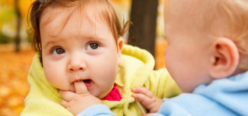Morsure à la crèche