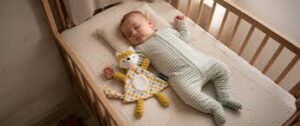 la place du doudou dans la crèche